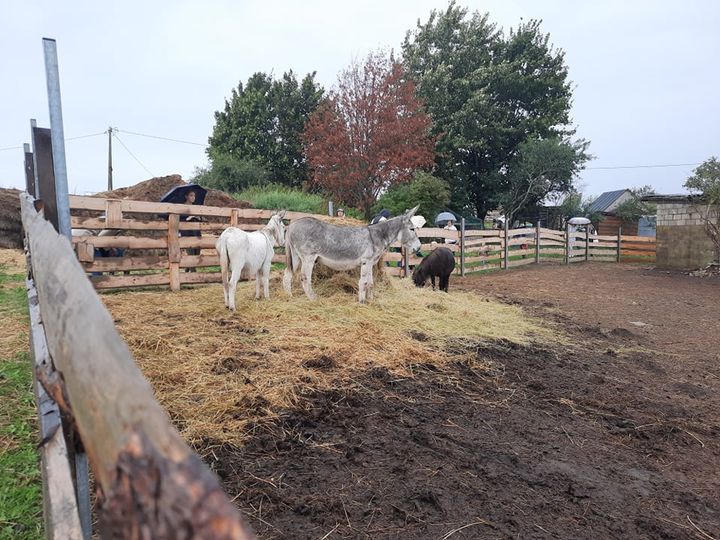 14.08.2021 состоялось 